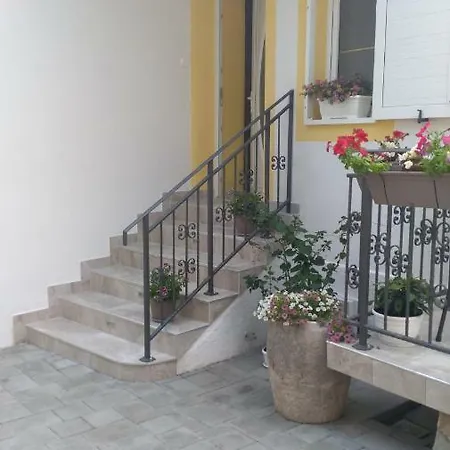 Danijel * נובי ווינודולסקי